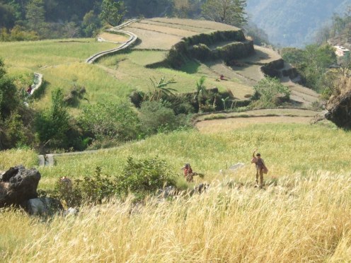 Trekking near Rishikesh