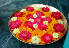 sohan tours &amp; travel rishikesh