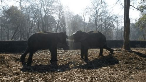 Screen Shot 2014-09-02 at 1.42.28 PM