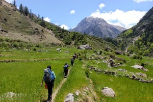 har-ki-dun-trekking