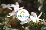 Lily Yoga Rishikesh header&nbsp;3