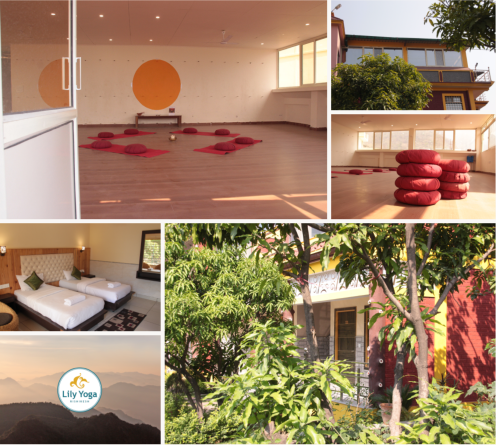 Lily Yoga Rishikesh